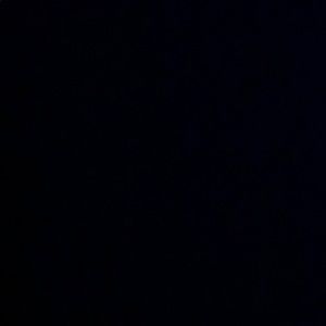 Meet your Posher, Gavin